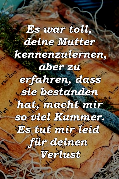 Es war toll, deine Mutter kennenzulernen, aber zu erfahren, dass sie bestanden hat, macht mir so viel Kummer. Es tut mir leid für deinen Verlust