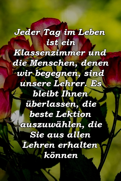 Jeder Tag im Leben ist ein Klassenzimmer und die Menschen, denen wir begegnen, sind unsere Lehrer. Es bleibt Ihnen überlassen, die beste Lektion auszuwählen, die Sie aus allen Lehren erhalten können