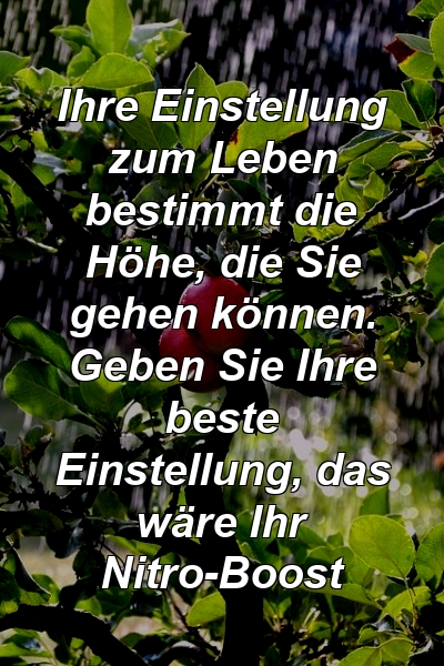 Ihre Einstellung zum Leben bestimmt die Höhe, die Sie gehen können. Geben Sie Ihre beste Einstellung, das wäre Ihr Nitro-Boost