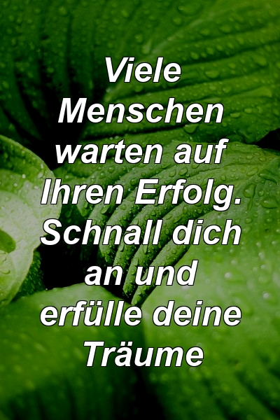 Viele Menschen warten auf Ihren Erfolg. Schnall dich an und erfülle deine Träume