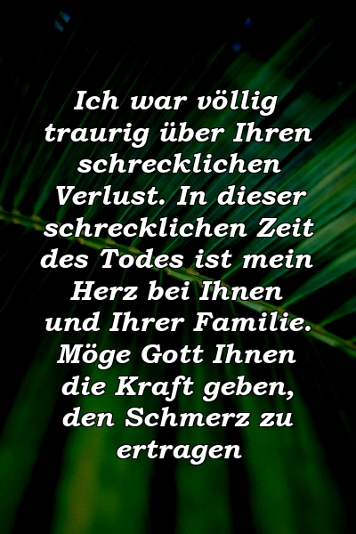 Ich war völlig traurig über Ihren schrecklichen Verlust. In dieser schrecklichen Zeit des Todes ist mein Herz bei Ihnen und Ihrer Familie. Möge Gott Ihnen die Kraft geben, den Schmerz zu ertragen