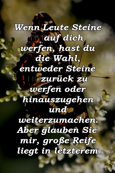 Wenn Leute Steine ​​auf dich werfen, hast du die Wahl, entweder Steine ​​zurück zu werfen oder hinauszugehen und weiterzumachen. Aber glauben Sie mir, große Reife liegt in letzterem