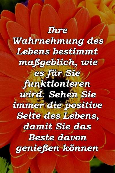 Ihre Wahrnehmung des Lebens bestimmt maßgeblich, wie es für Sie funktionieren wird. Sehen Sie immer die positive Seite des Lebens, damit Sie das Beste davon genießen können