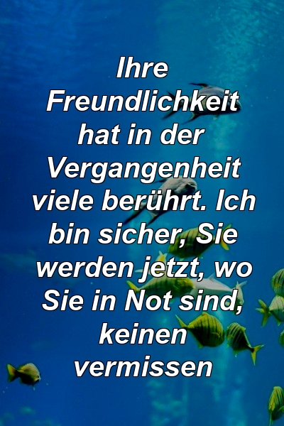 Ihre Freundlichkeit hat in der Vergangenheit viele berührt. Ich bin sicher, Sie werden jetzt, wo Sie in Not sind, keinen vermissen