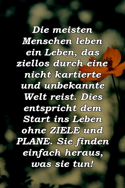 Die meisten Menschen leben ein Leben, das ziellos durch eine nicht kartierte und unbekannte Welt reist. Dies entspricht dem Start ins Leben ohne ZIELE und PLANE. Sie finden einfach heraus, was sie tun!