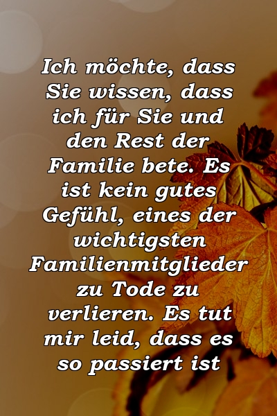 Ich möchte, dass Sie wissen, dass ich für Sie und den Rest der Familie bete. Es ist kein gutes Gefühl, eines der wichtigsten Familienmitglieder zu Tode zu verlieren. Es tut mir leid, dass es so passiert ist