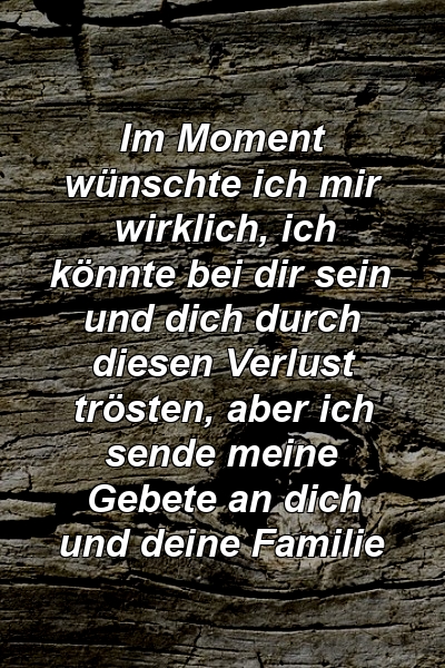 Im Moment wünschte ich mir wirklich, ich könnte bei dir sein und dich durch diesen Verlust trösten, aber ich sende meine Gebete an dich und deine Familie