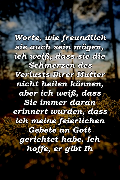 Worte, wie freundlich sie auch sein mögen, ich weiß, dass sie die Schmerzen des Verlusts Ihrer Mutter nicht heilen können, aber ich weiß, dass Sie immer daran erinnert wurden, dass ich meine feierlichen Gebete an Gott gerichtet habe. Ich hoffe, er gibt Ih