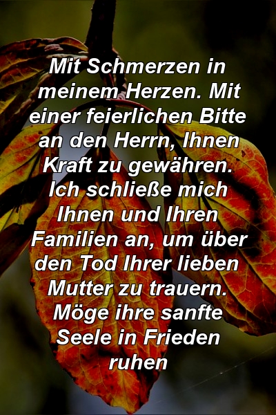 Mit Schmerzen in meinem Herzen. Mit einer feierlichen Bitte an den Herrn, Ihnen Kraft zu gewähren. Ich schließe mich Ihnen und Ihren Familien an, um über den Tod Ihrer lieben Mutter zu trauern. Möge ihre sanfte Seele in Frieden ruhen