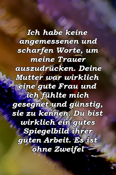 Ich habe keine angemessenen und scharfen Worte, um meine Trauer auszudrücken. Deine Mutter war wirklich eine gute Frau und ich fühlte mich gesegnet und günstig, sie zu kennen. Du bist wirklich ein gutes Spiegelbild ihrer guten Arbeit. Es ist ohne Zweifel 