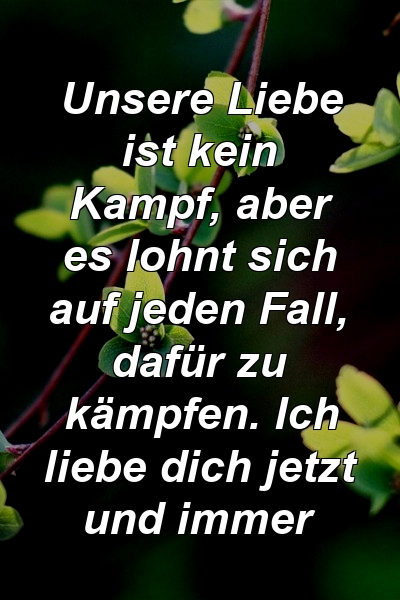 Unsere Liebe ist kein Kampf, aber es lohnt sich auf jeden Fall, dafür zu kämpfen. Ich liebe dich jetzt und immer