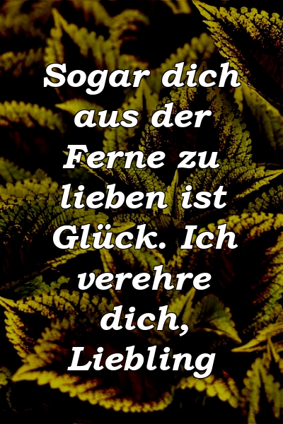 Sogar dich aus der Ferne zu lieben ist Glück. Ich verehre dich, Liebling