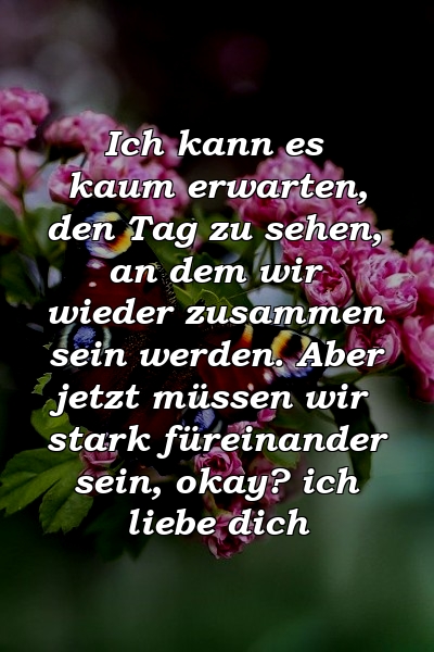 Ich kann es kaum erwarten, den Tag zu sehen, an dem wir wieder zusammen sein werden. Aber jetzt müssen wir stark füreinander sein, okay? ich liebe dich