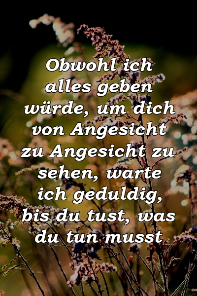 Obwohl ich alles geben würde, um dich von Angesicht zu Angesicht zu sehen, warte ich geduldig, bis du tust, was du tun musst