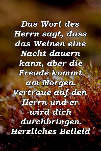 Das Wort des Herrn sagt, dass das Weinen eine Nacht dauern kann, aber die Freude kommt am Morgen. Vertraue auf den Herrn und er wird dich durchbringen. Herzliches Beileid