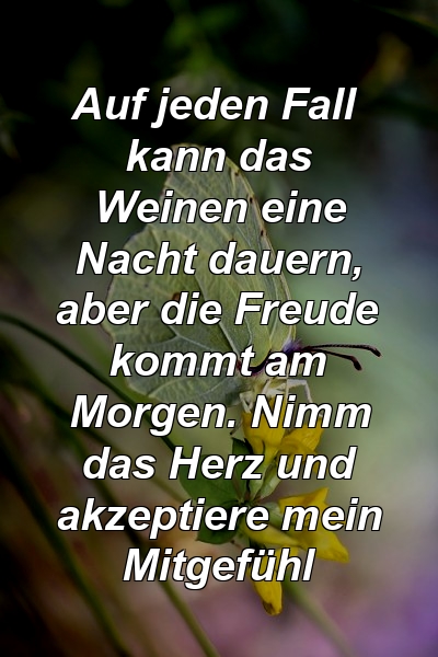 Auf jeden Fall kann das Weinen eine Nacht dauern, aber die Freude kommt am Morgen. Nimm das Herz und akzeptiere mein Mitgefühl