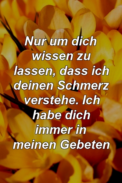 Nur um dich wissen zu lassen, dass ich deinen Schmerz verstehe. Ich habe dich immer in meinen Gebeten