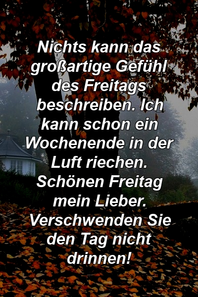 Nichts kann das großartige Gefühl des Freitags beschreiben. Ich kann schon ein Wochenende in der Luft riechen. Schönen Freitag mein Lieber. Verschwenden Sie den Tag nicht drinnen!