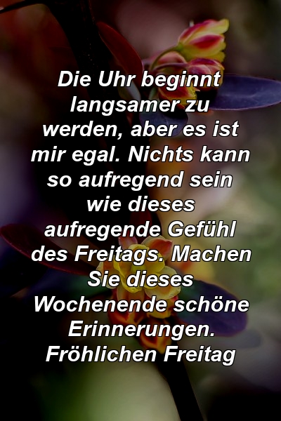 Die Uhr beginnt langsamer zu werden, aber es ist mir egal. Nichts kann so aufregend sein wie dieses aufregende Gefühl des Freitags. Machen Sie dieses Wochenende schöne Erinnerungen. Fröhlichen Freitag