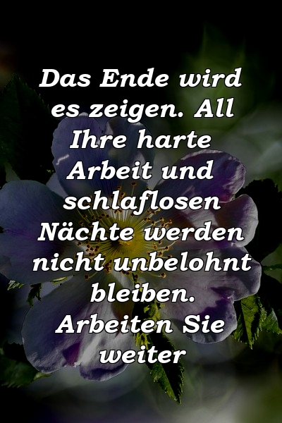 Das Ende wird es zeigen. All Ihre harte Arbeit und schlaflosen Nächte werden nicht unbelohnt bleiben. Arbeiten Sie weiter