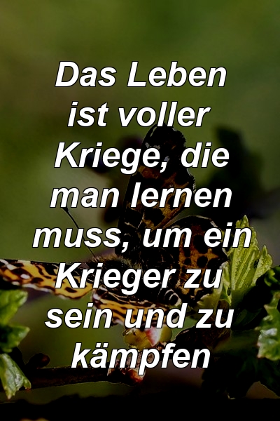 Das Leben ist voller Kriege, die man lernen muss, um ein Krieger zu sein und zu kämpfen