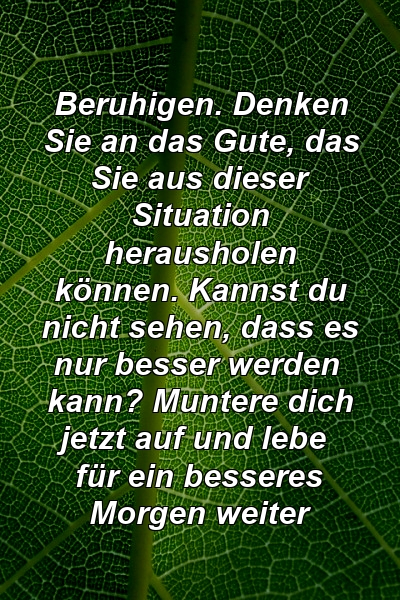 Beruhigen. Denken Sie an das Gute, das Sie aus dieser Situation herausholen können. Kannst du nicht sehen, dass es nur besser werden kann? Muntere dich jetzt auf und lebe für ein besseres Morgen weiter