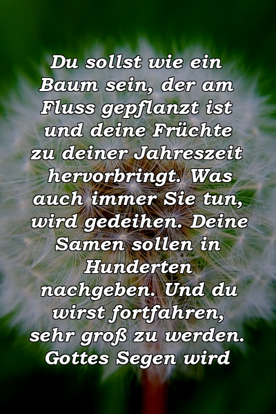 Du sollst wie ein Baum sein, der am Fluss gepflanzt ist und deine Früchte zu deiner Jahreszeit hervorbringt. Was auch immer Sie tun, wird gedeihen. Deine Samen sollen in Hunderten nachgeben. Und du wirst fortfahren, sehr groß zu werden. Gottes Segen wird 