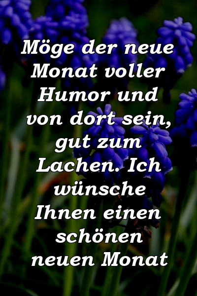 Möge der neue Monat voller Humor und von dort sein, gut zum Lachen. Ich wünsche Ihnen einen schönen neuen Monat