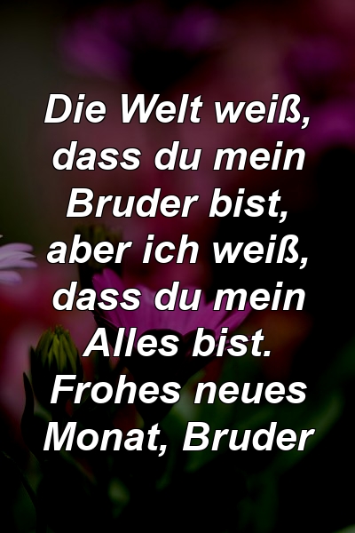 Die Welt weiß, dass du mein Bruder bist, aber ich weiß, dass du mein Alles bist. Frohes neues Monat, Bruder