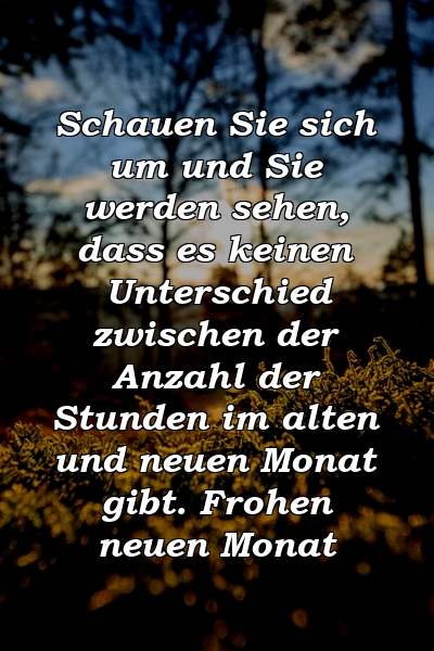 Schauen Sie sich um und Sie werden sehen, dass es keinen Unterschied zwischen der Anzahl der Stunden im alten und neuen Monat gibt. Frohen neuen Monat