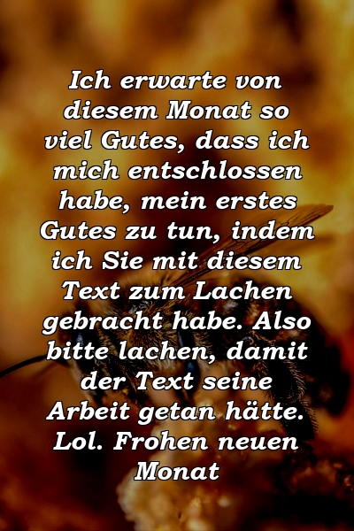 Ich erwarte von diesem Monat so viel Gutes, dass ich mich entschlossen habe, mein erstes Gutes zu tun, indem ich Sie mit diesem Text zum Lachen gebracht habe. Also bitte lachen, damit der Text seine Arbeit getan hätte. Lol. Frohen neuen Monat