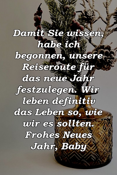 Damit Sie wissen, habe ich begonnen, unsere Reiseroute für das neue Jahr festzulegen. Wir leben definitiv das Leben so, wie wir es sollten. Frohes Neues Jahr, Baby