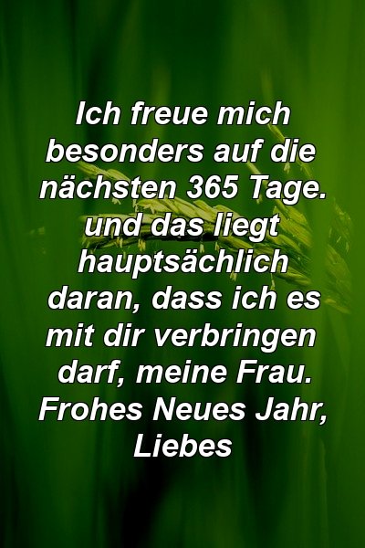 Ich freue mich besonders auf die nächsten 365 Tage. und das liegt hauptsächlich daran, dass ich es mit dir verbringen darf, meine Frau. Frohes Neues Jahr, Liebes