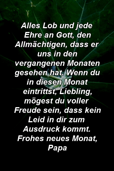 Alles Lob und jede Ehre an Gott, den Allmächtigen, dass er uns in den vergangenen Monaten gesehen hat. Wenn du in diesen Monat eintrittst, Liebling, mögest du voller Freude sein, dass kein Leid in dir zum Ausdruck kommt. Frohes neues Monat, Papa