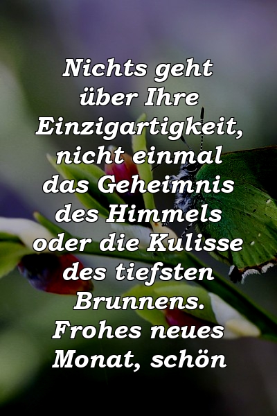 Nichts geht über Ihre Einzigartigkeit, nicht einmal das Geheimnis des Himmels oder die Kulisse des tiefsten Brunnens. Frohes neues Monat, schön