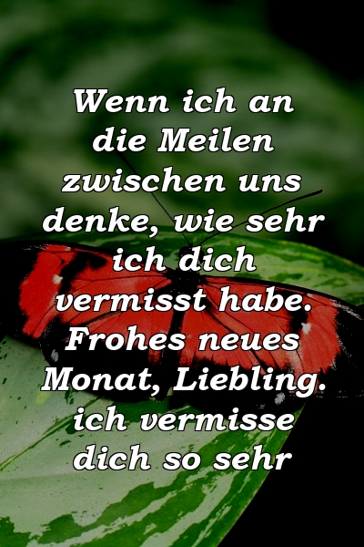 Wenn ich an die Meilen zwischen uns denke, wie sehr ich dich vermisst habe. Frohes neues Monat, Liebling. ich vermisse dich so sehr