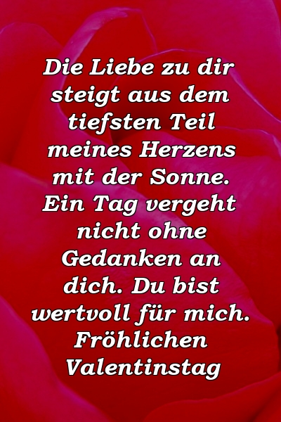 Die Liebe zu dir steigt aus dem tiefsten Teil meines Herzens mit der Sonne. Ein Tag vergeht nicht ohne Gedanken an dich. Du bist wertvoll für mich. Fröhlichen Valentinstag