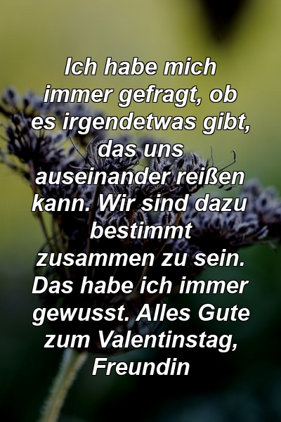 Ich habe mich immer gefragt, ob es irgendetwas gibt, das uns auseinander reißen kann. Wir sind dazu bestimmt zusammen zu sein. Das habe ich immer gewusst. Alles Gute zum Valentinstag, Freundin