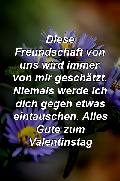 Diese Freundschaft von uns wird immer von mir geschätzt. Niemals werde ich dich gegen etwas eintauschen. Alles Gute zum Valentinstag