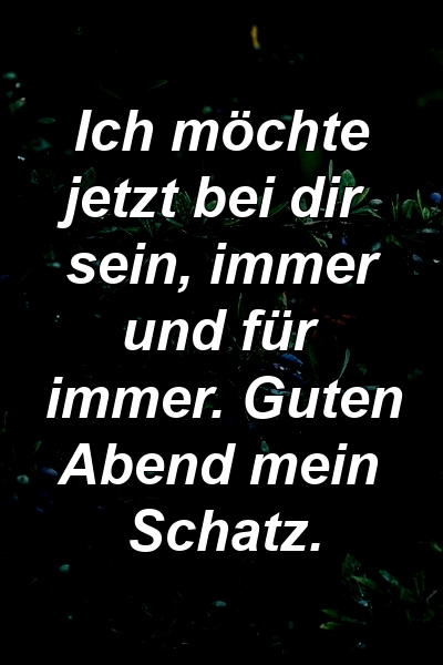 Ich möchte jetzt bei dir sein, immer und für immer. Guten Abend mein Schatz.