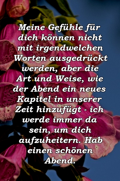 Meine Gefühle für dich können nicht mit irgendwelchen Worten ausgedrückt werden, aber die Art und Weise, wie der Abend ein neues Kapitel in unserer Zeit hinzufügt - ich werde immer da sein, um dich aufzuheitern. Hab einen schönen Abend.