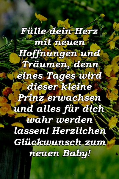 Fülle dein Herz mit neuen Hoffnungen und Träumen, denn eines Tages wird dieser kleine Prinz erwachsen und alles für dich wahr werden lassen! Herzlichen Glückwunsch zum neuen Baby!