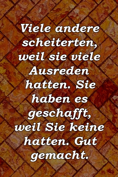 Viele andere scheiterten, weil sie viele Ausreden hatten. Sie haben es geschafft, weil Sie keine hatten. Gut gemacht.