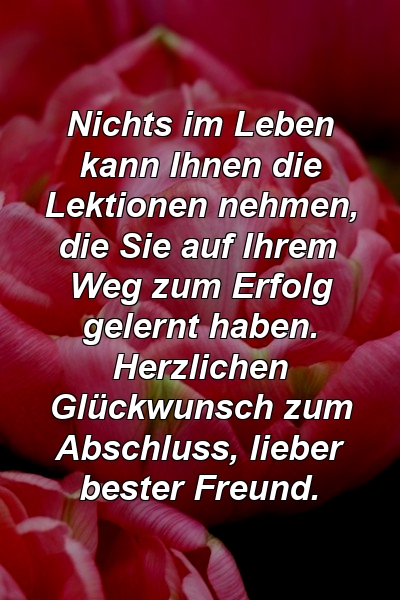 Nichts im Leben kann Ihnen die Lektionen nehmen, die Sie auf Ihrem Weg zum Erfolg gelernt haben. Herzlichen Glückwunsch zum Abschluss, lieber bester Freund.