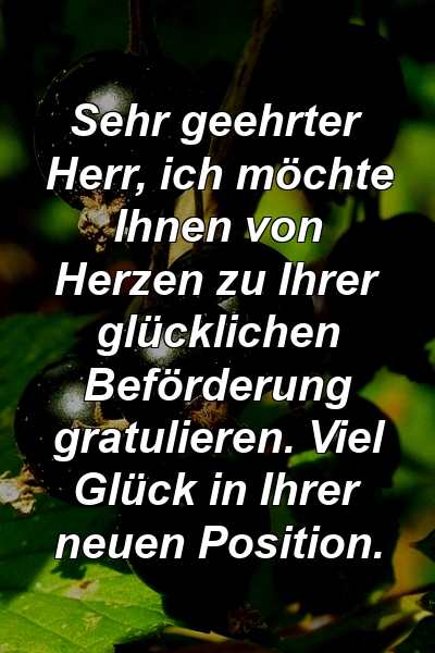 Sehr geehrter Herr, ich möchte Ihnen von Herzen zu Ihrer glücklichen Beförderung gratulieren. Viel Glück in Ihrer neuen Position.