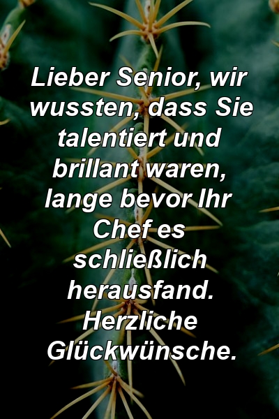 Lieber Senior, wir wussten, dass Sie talentiert und brillant waren, lange bevor Ihr Chef es schließlich herausfand. Herzliche Glückwünsche.