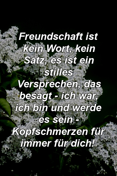 Freundschaft ist kein Wort, kein Satz, es ist ein stilles Versprechen, das besagt - ich war, ich bin und werde es sein - Kopfschmerzen für immer für dich!