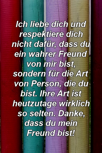 Ich liebe dich und respektiere dich nicht dafür, dass du ein wahrer Freund von mir bist, sondern für die Art von Person, die du bist. Ihre Art ist heutzutage wirklich so selten. Danke, dass du mein Freund bist!