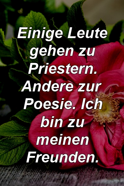 Einige Leute gehen zu Priestern. Andere zur Poesie. Ich bin zu meinen Freunden.