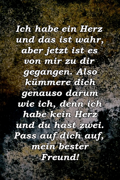 Ich habe ein Herz und das ist wahr, aber jetzt ist es von mir zu dir gegangen. Also kümmere dich genauso darum wie ich, denn ich habe kein Herz und du hast zwei. Pass auf dich auf, mein bester Freund!